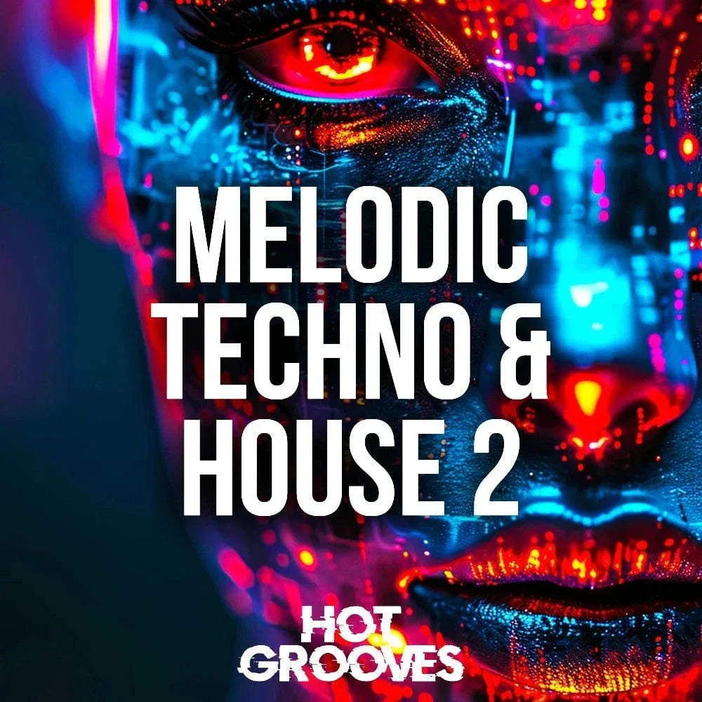 Hot Grooves - Melodic Techno and House 2